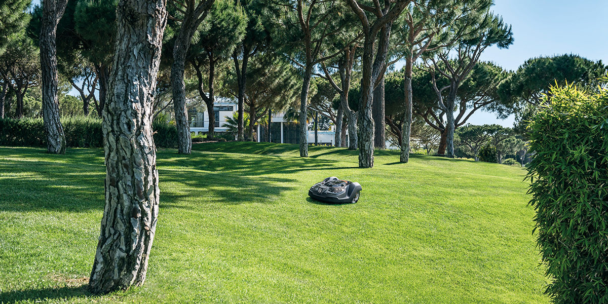Avantages tondeuses électriques Mon Mouton