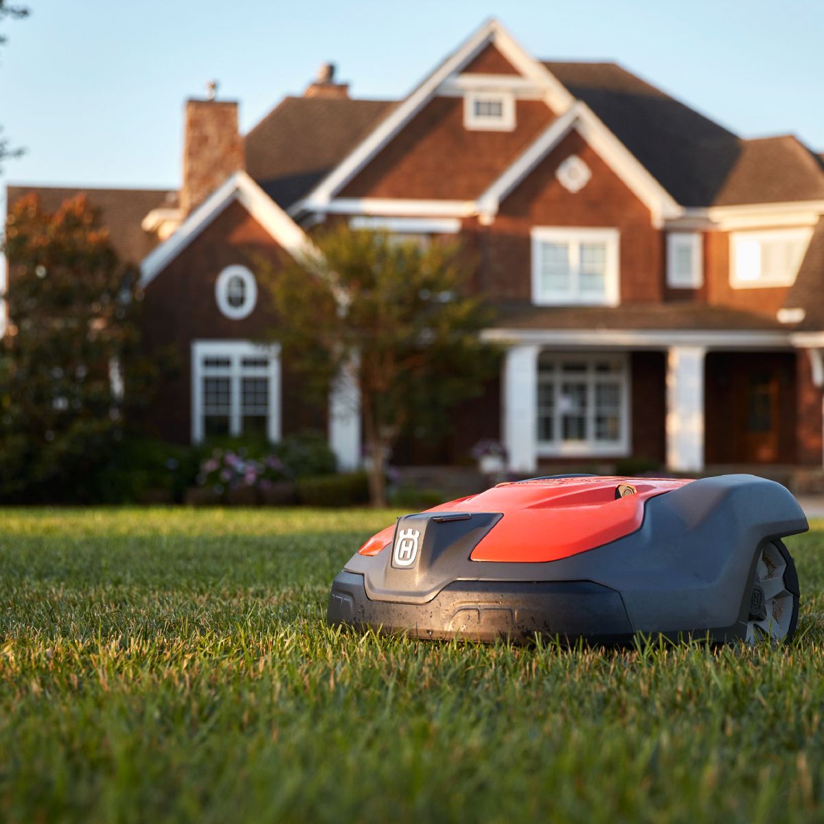 robot tondeuse pour jardin de taille moyenne